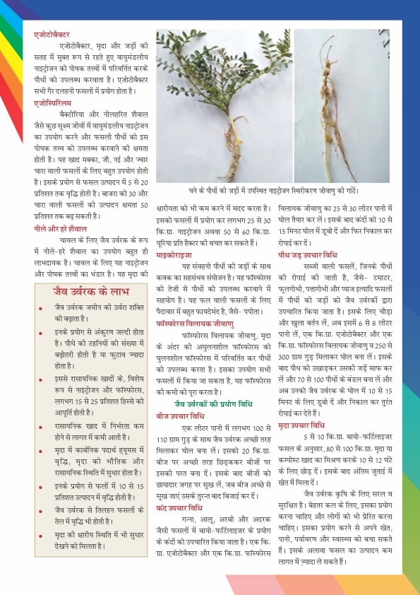 Newsletter Page 10