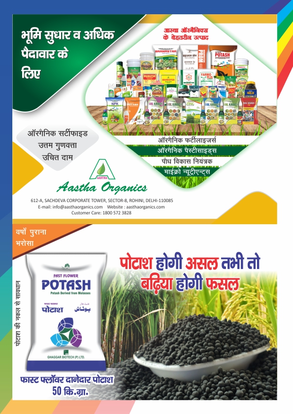 Newsletter Page 11