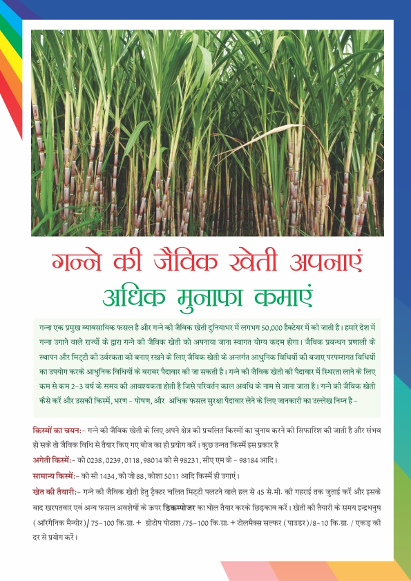 Newsletter Page 12