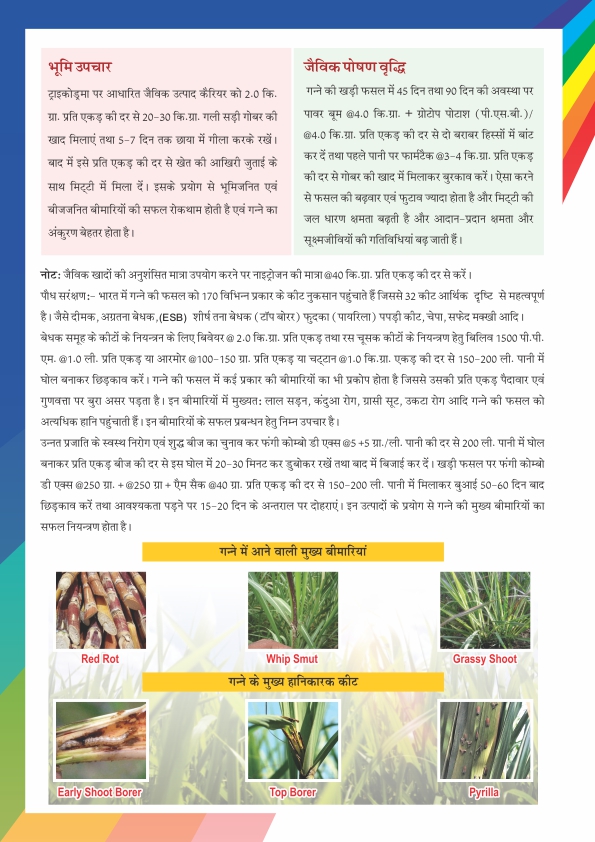 Newsletter Page 12