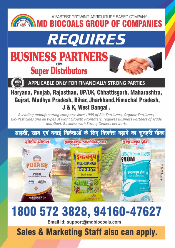 Newsletter Page 12