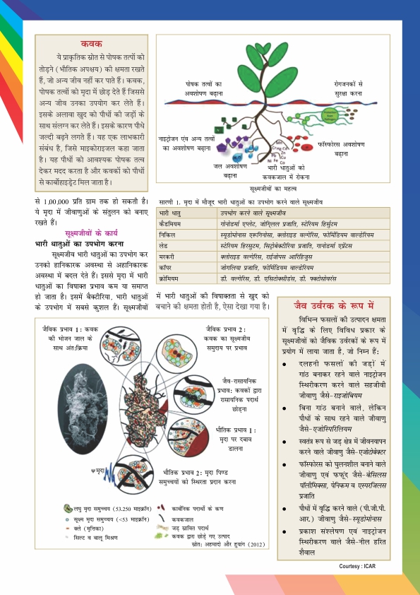 Newsletter Page 6