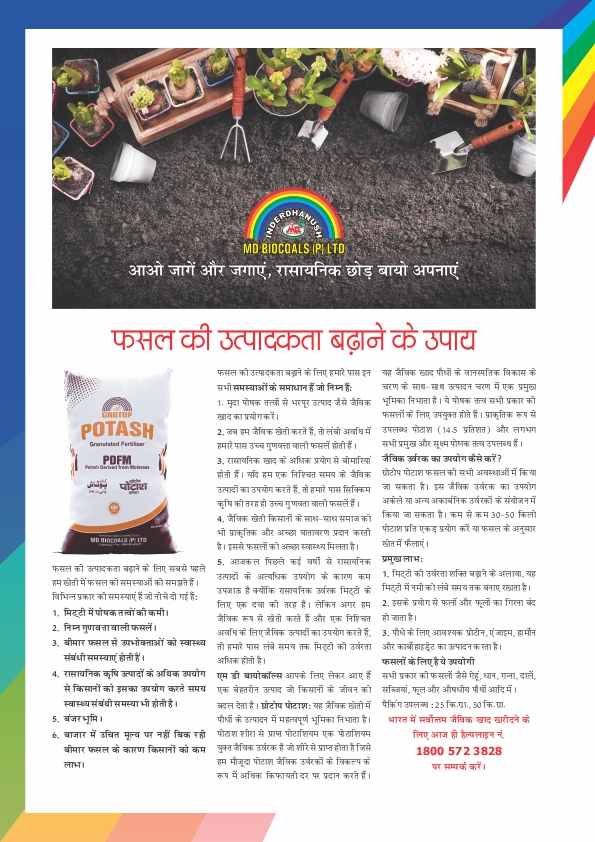 Newsletter Page 7